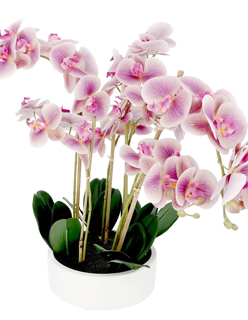 PREELABORADO ORQUÍDEA, 58 CM, MORADO 2