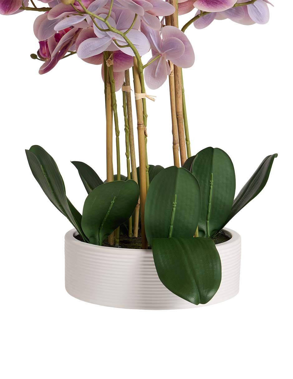 PREELABORADO ORQUÍDEA, 58 CM, MORADO