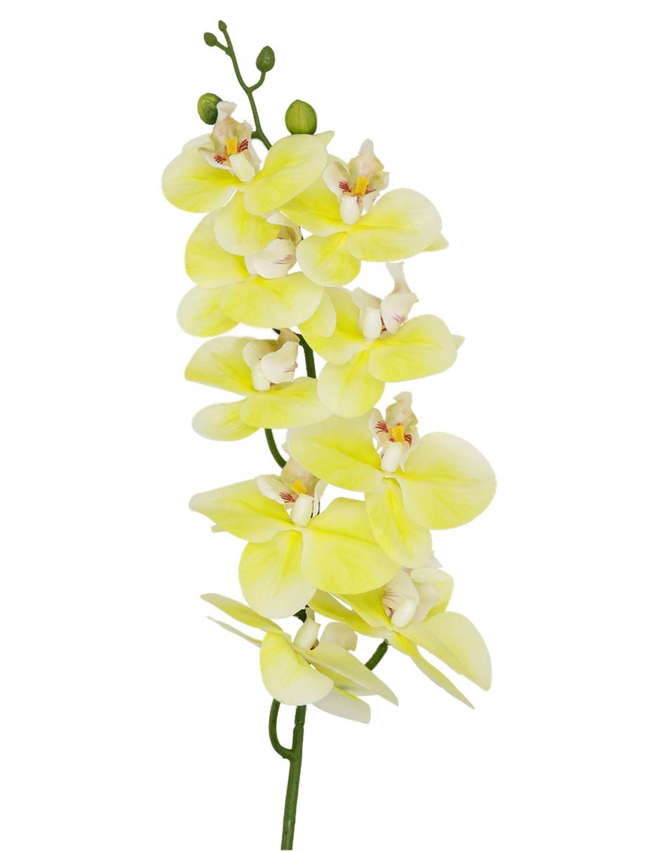 ORQUÍDEA, 91 CM, AMARILLO 2