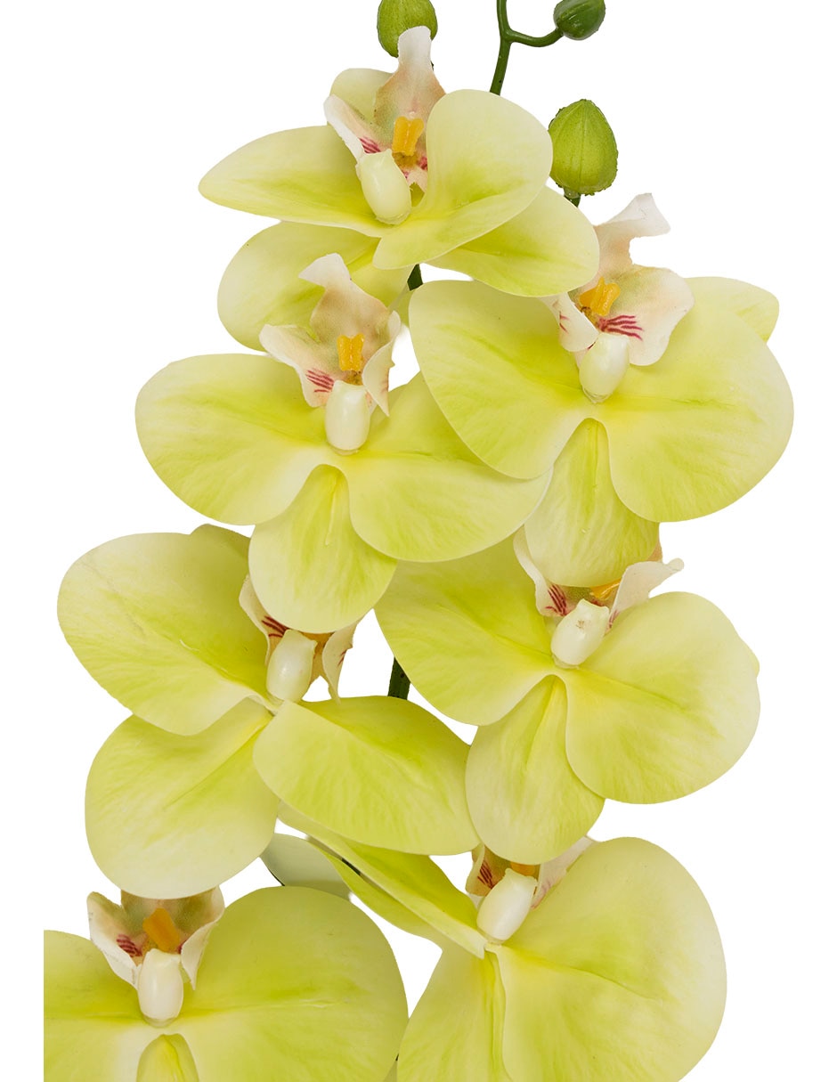 ORQUÍDEA, 91 CM, AMARILLO ORQUÍDEA, 91 CM, AMARILLO