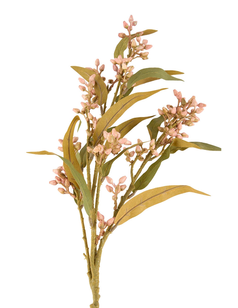 VARA BERRIES, ROSA 3