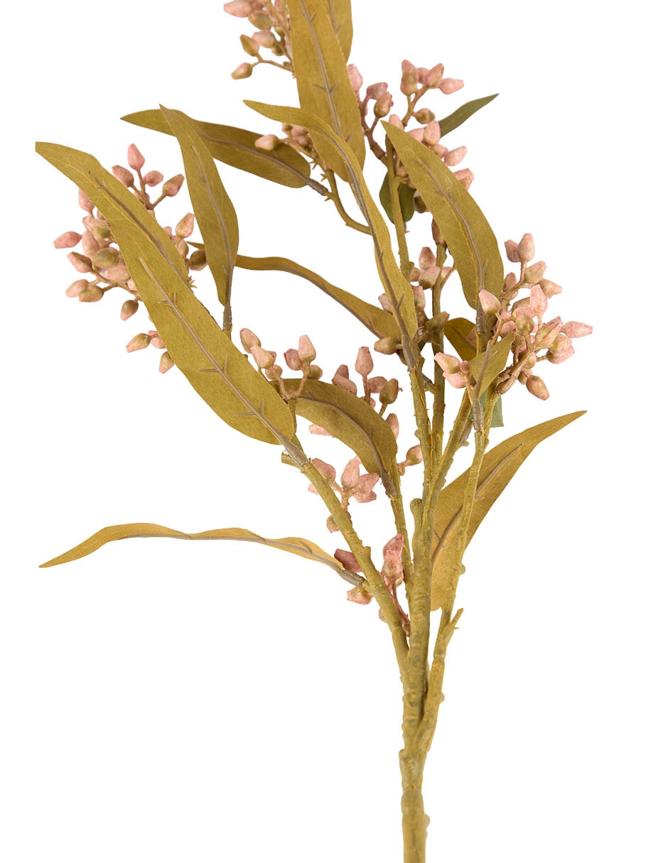 VARA BERRIES, ROSA 2