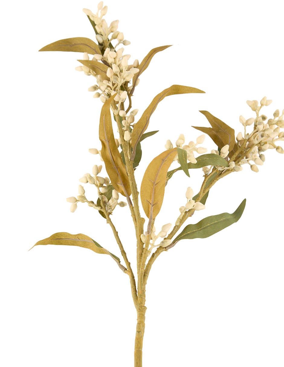 VARA BERRIES, BLANCO 2