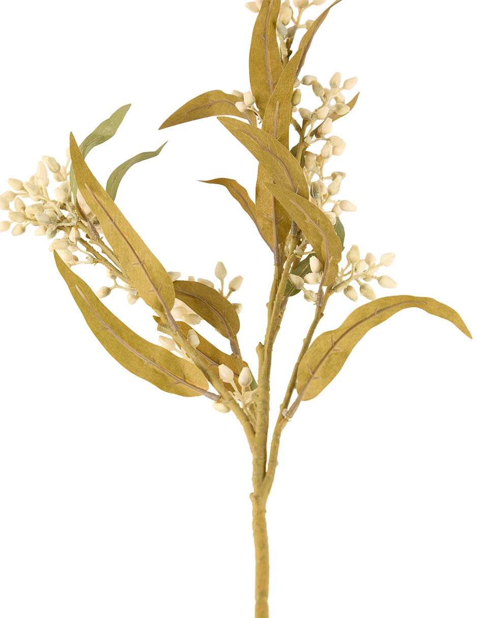 VARA BERRIES, BLANCO