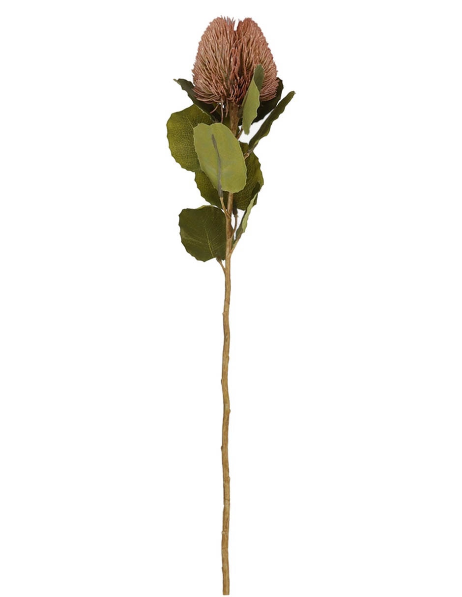 , 57 CM, ROSA 2