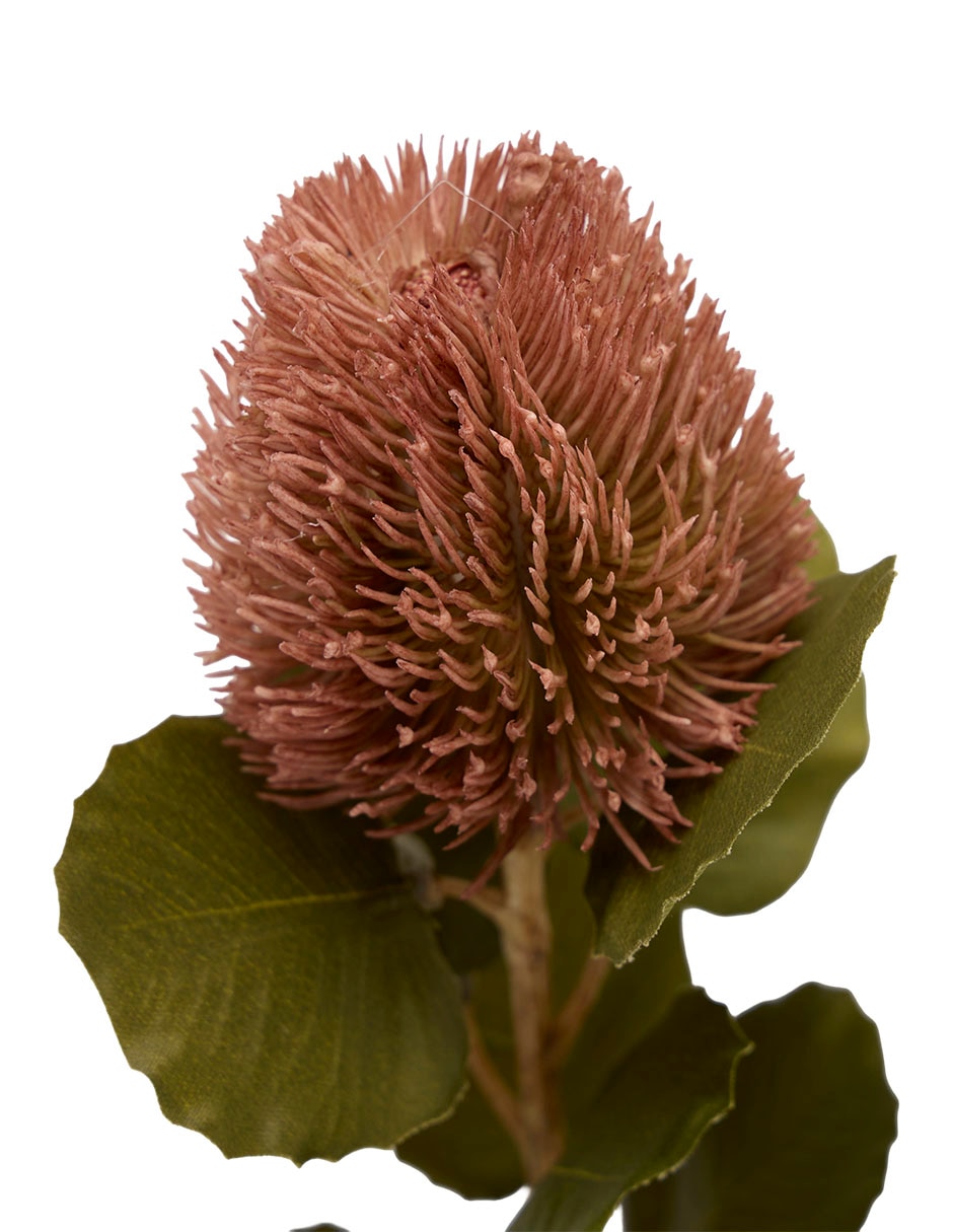 , 57 CM, ROSA , 57 CM, ROSA