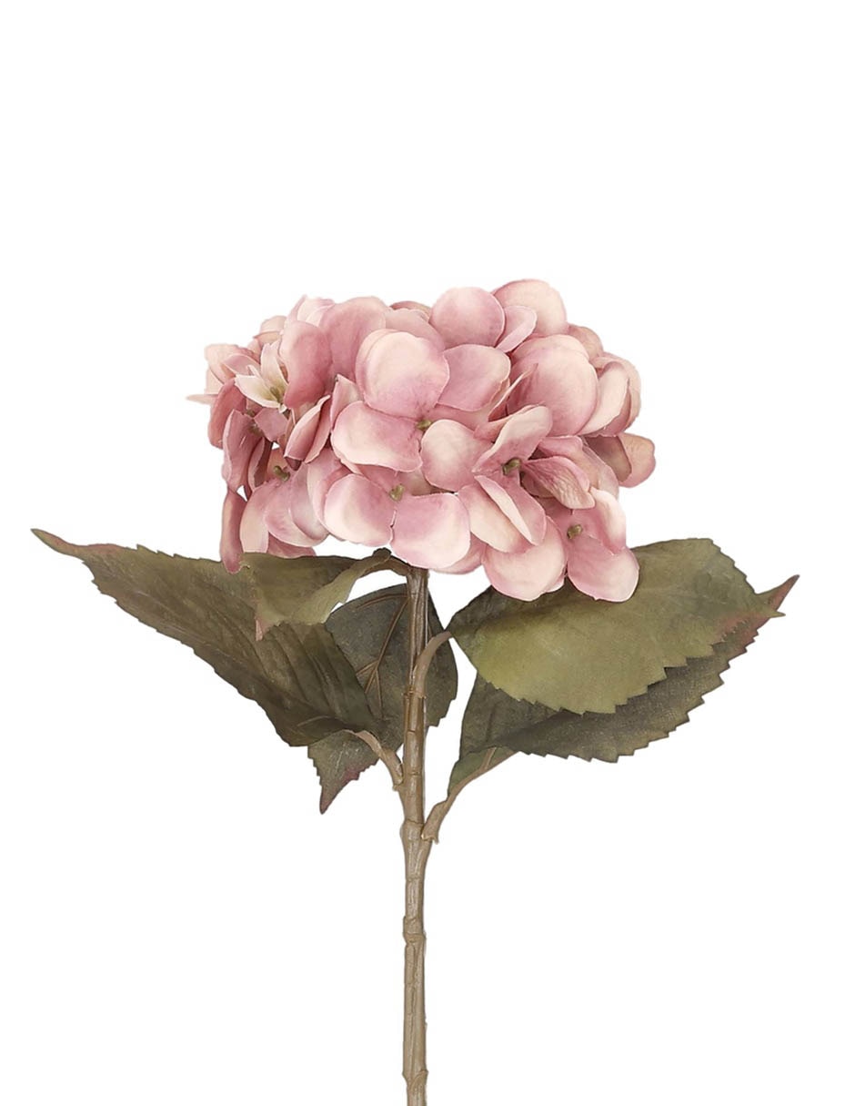 HORTENSIA, 54 CM, ROSA 2