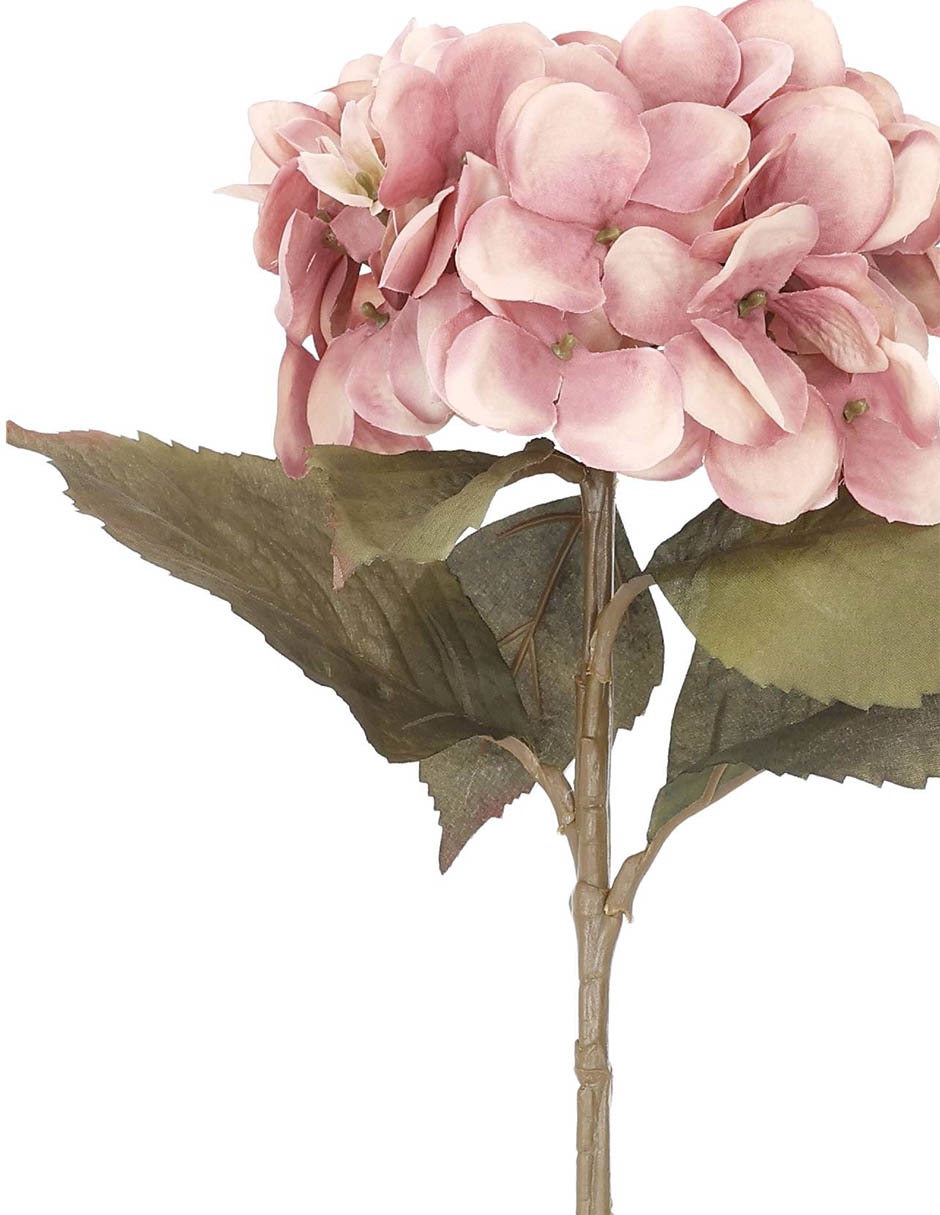 HORTENSIA, 54 CM, ROSA