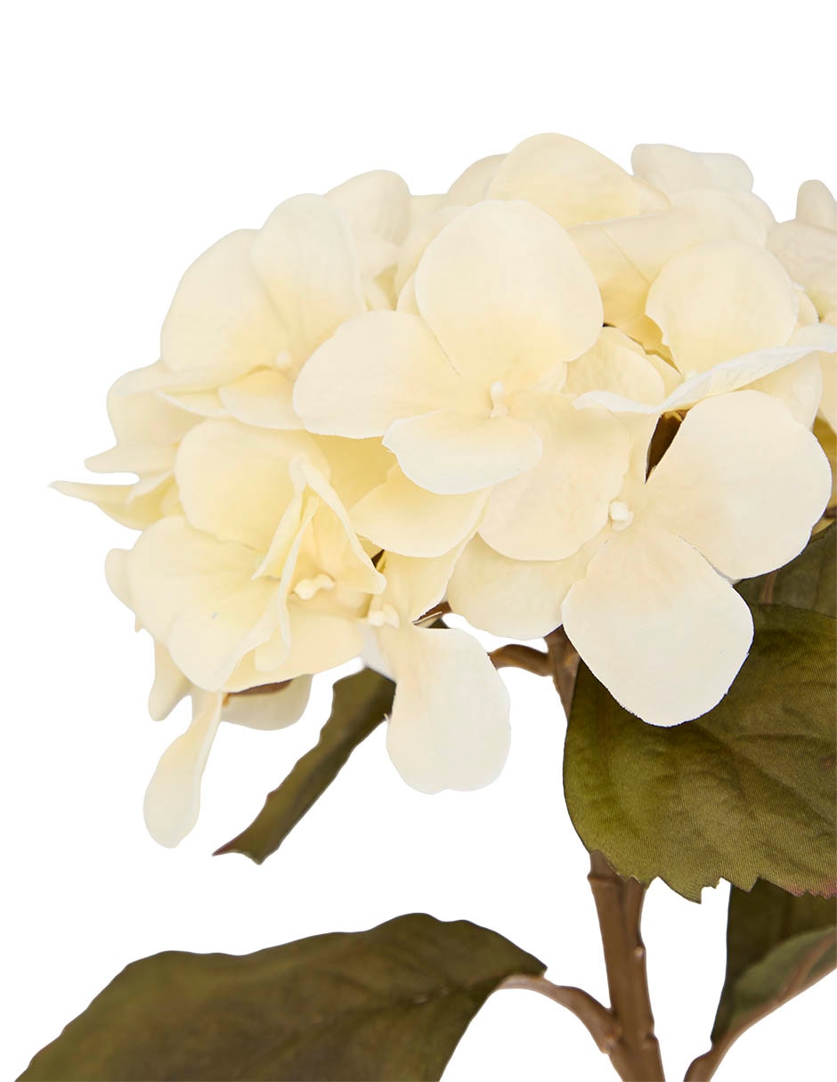 HORTENSIA, 54 CM, BLANCO