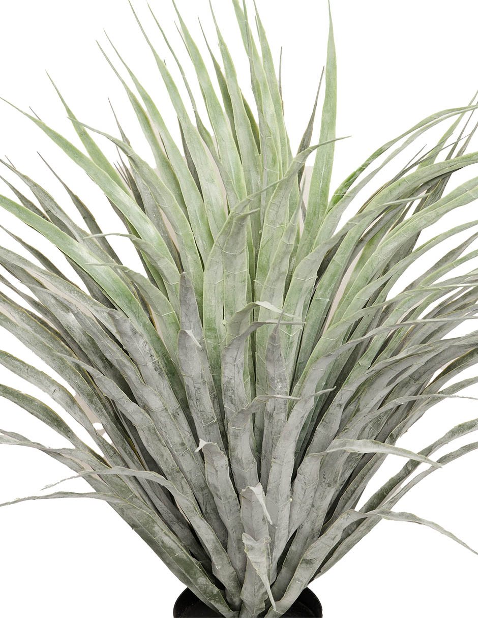 PLANTA, VERDE CLARO 2