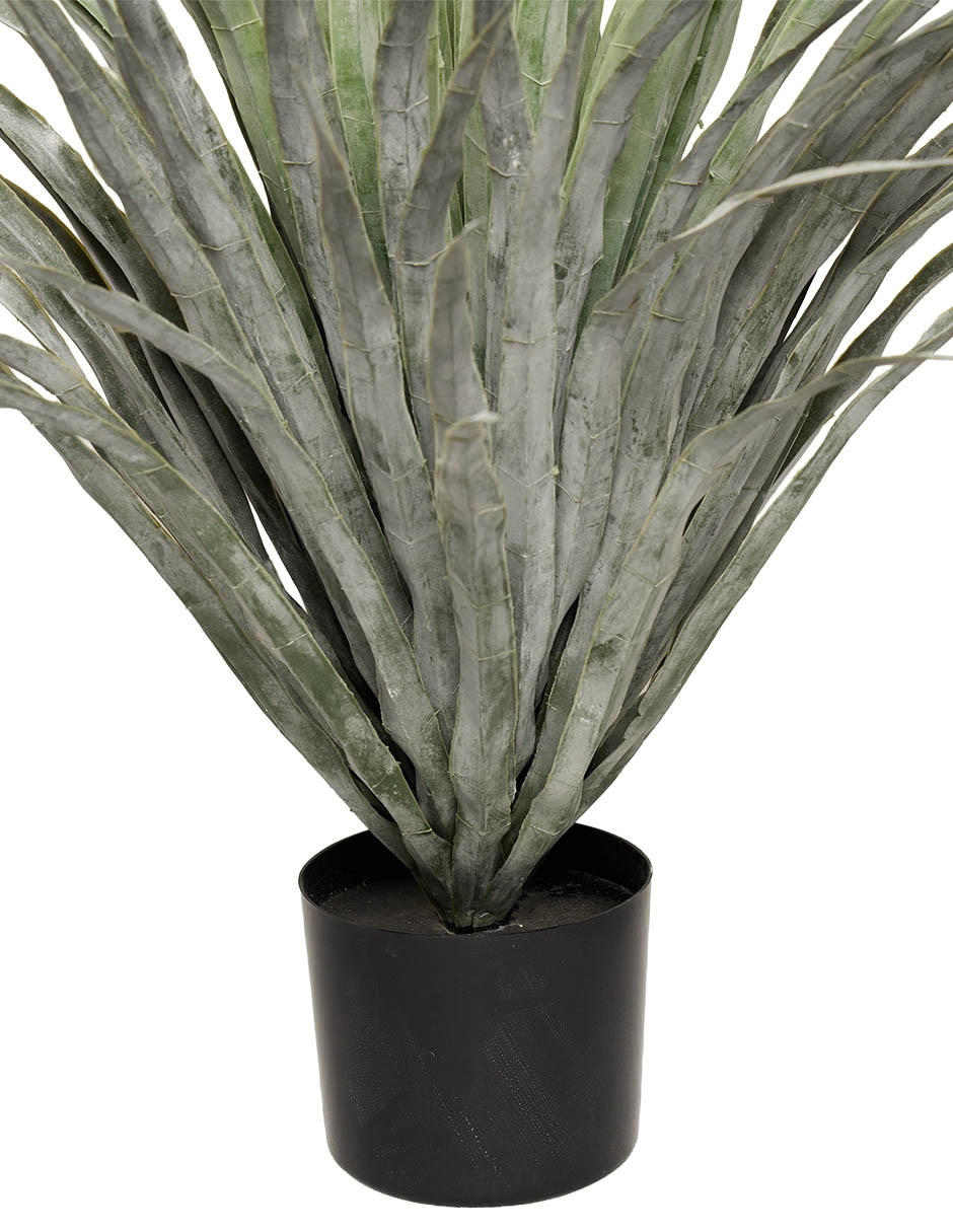 PLANTA, VERDE CLARO