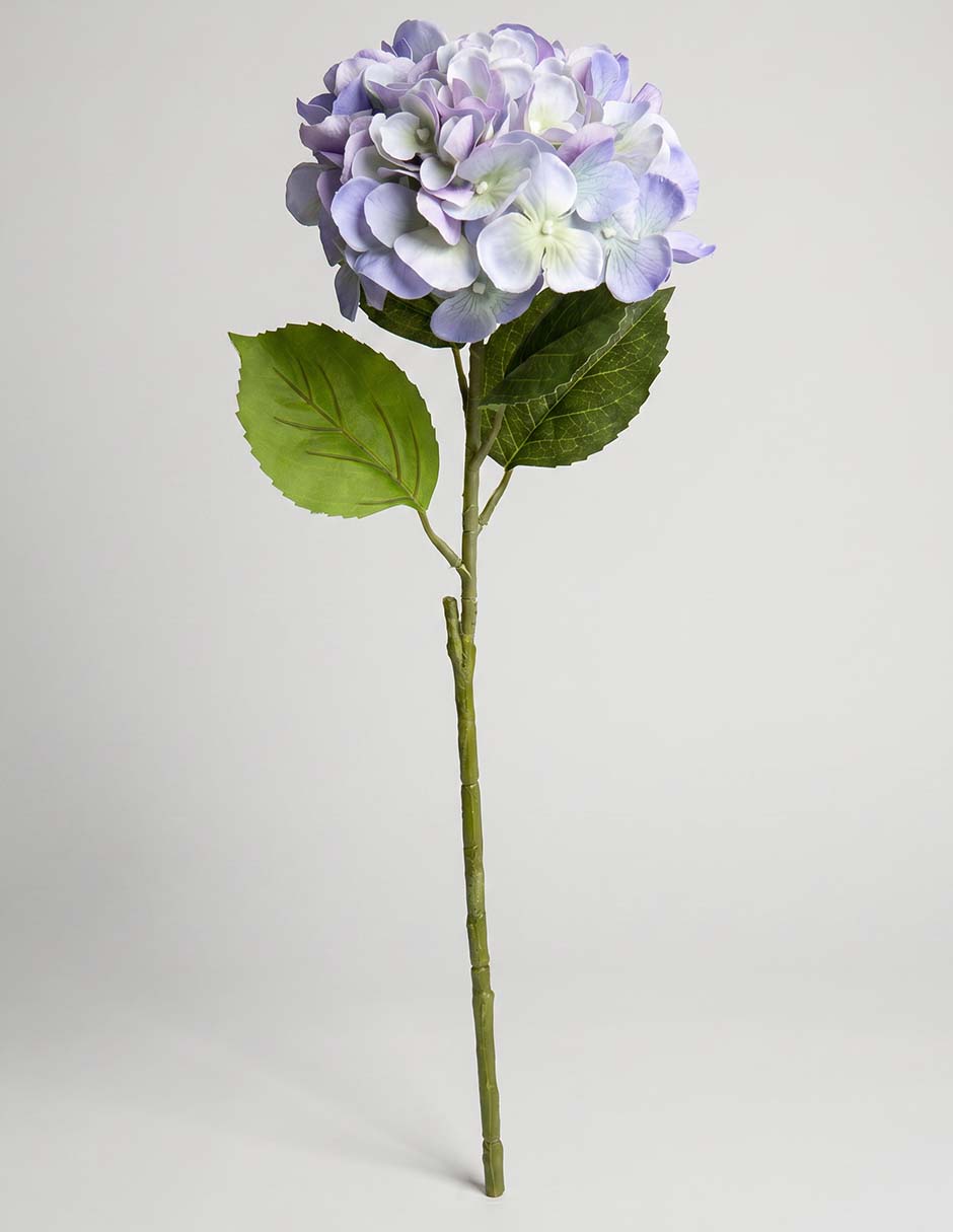 Flor de hortensia Flor de hortensia