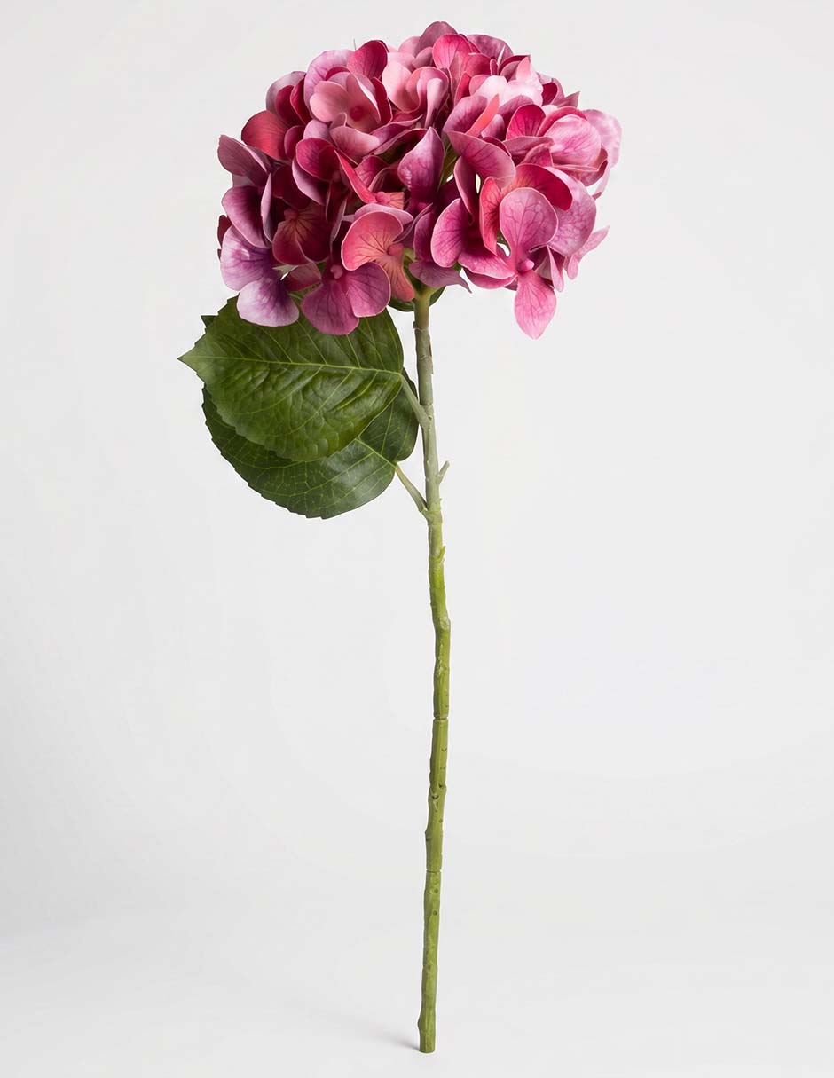 Flor de hortensia 1