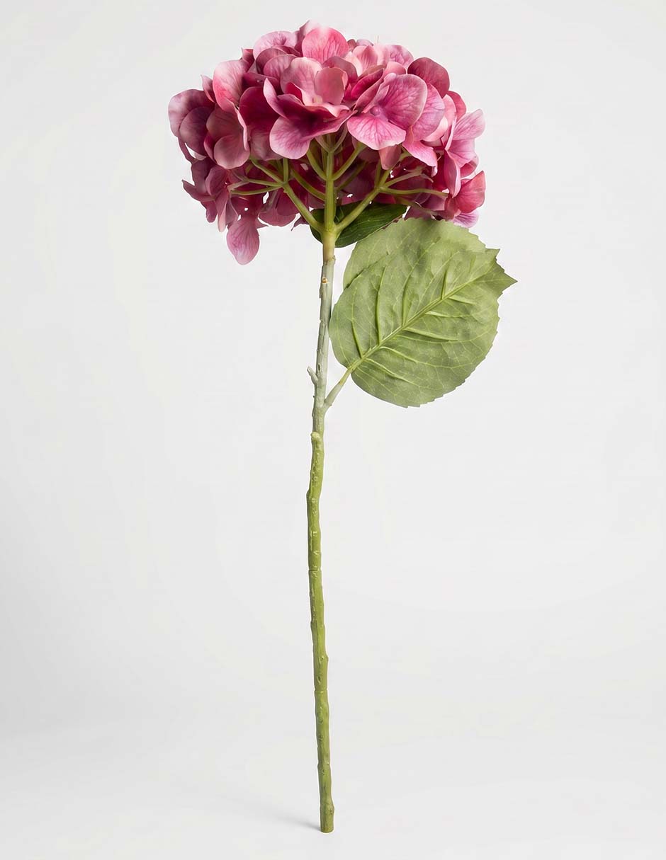 Flor de hortensia 3