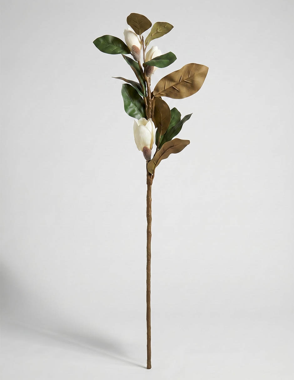 Vara de magnolia