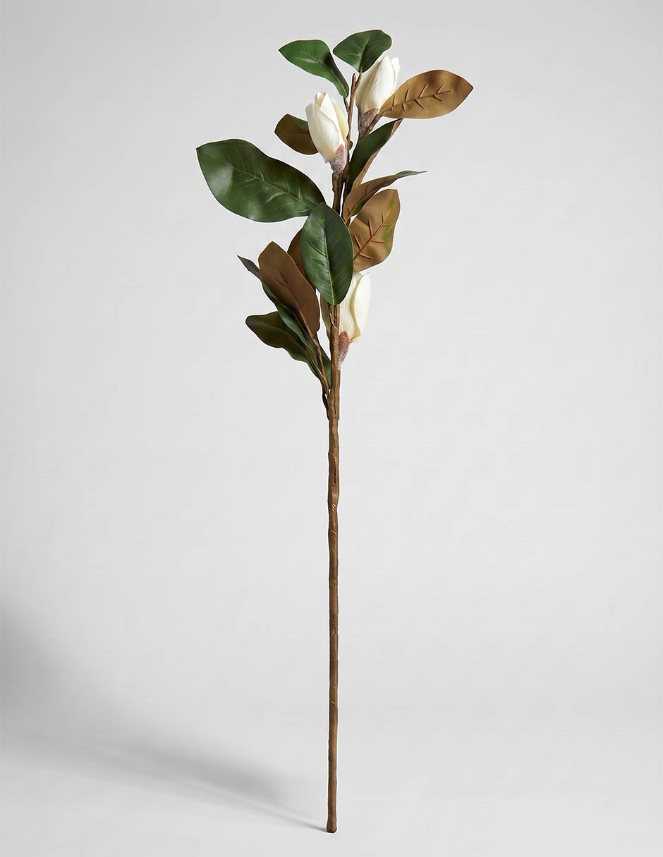 Vara de magnolia 2