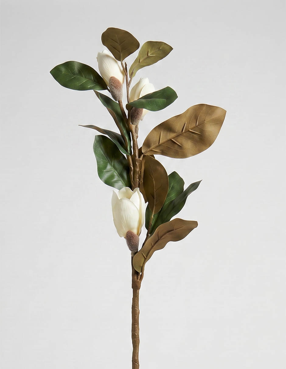 Vara de magnolia 3