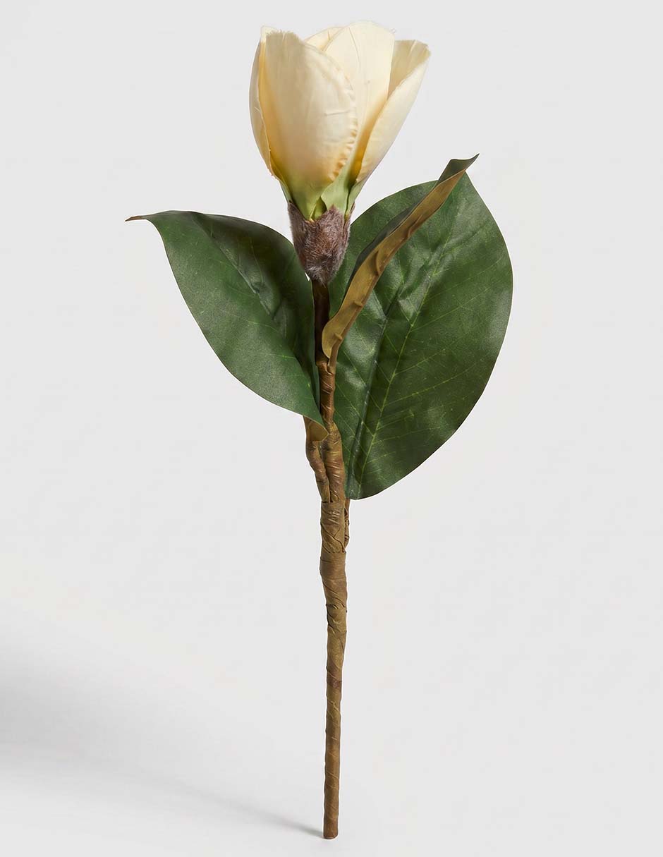 Flor