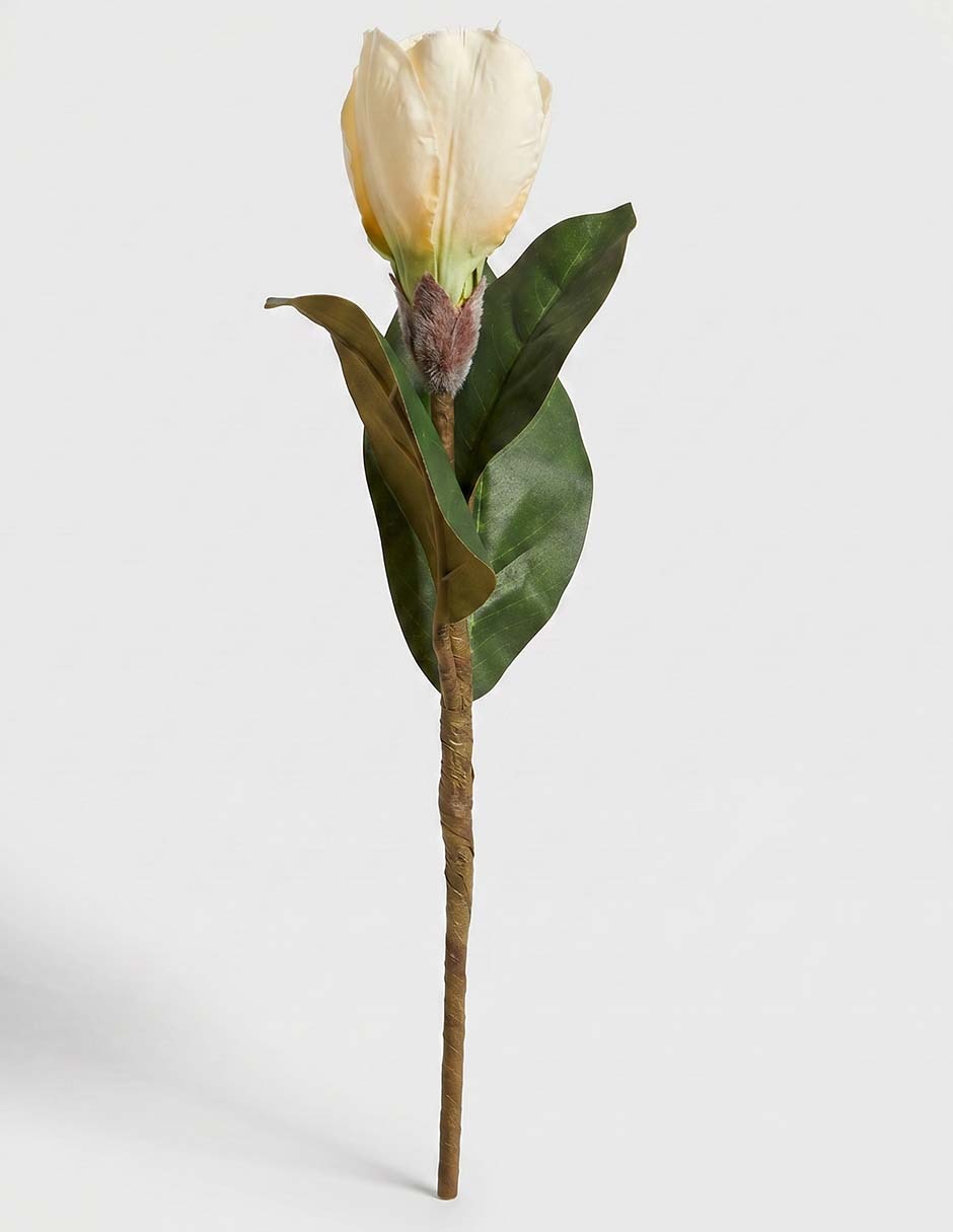 Flor 2