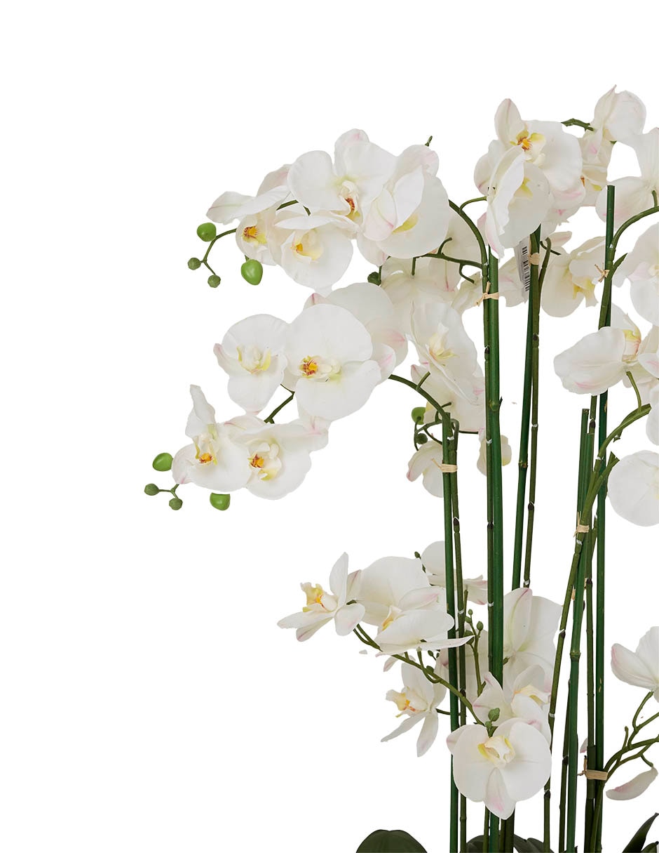 PREELABORADO ORQUÍDEA, BLANCO 2