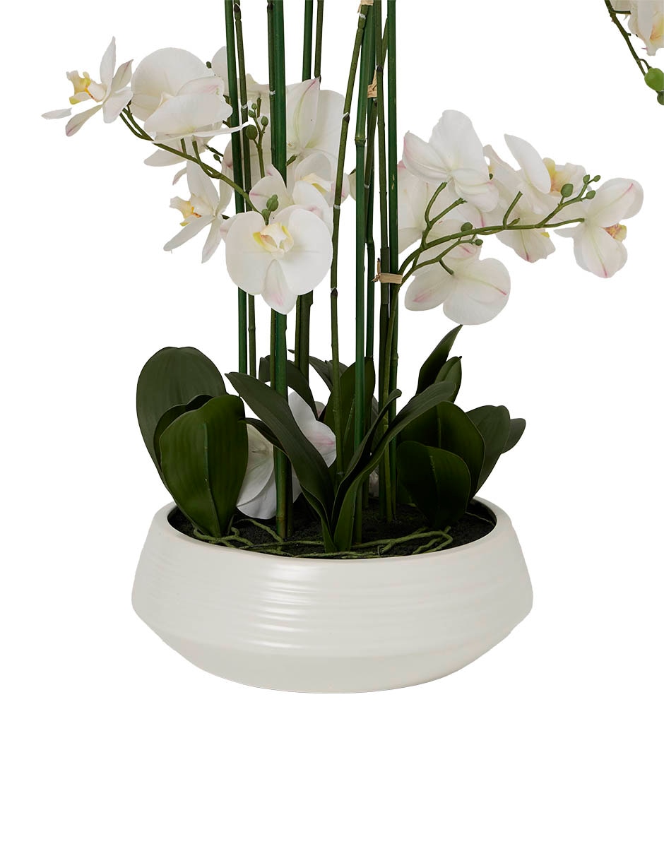 PREELABORADO ORQUÍDEA, BLANCO