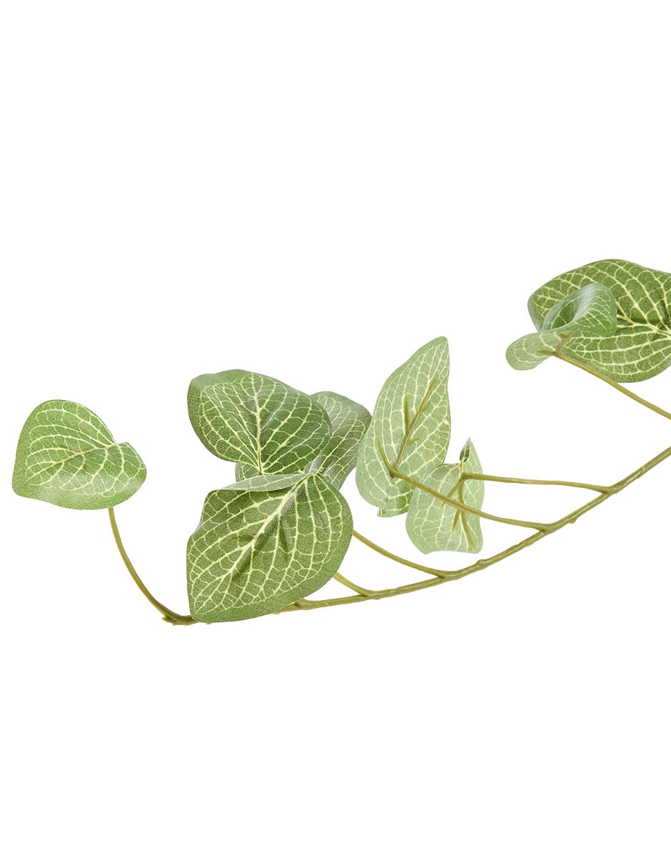 Planta colgante fittonia artificial 3