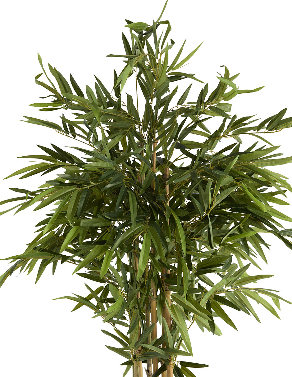 Bambú 150 cm con maceta 2