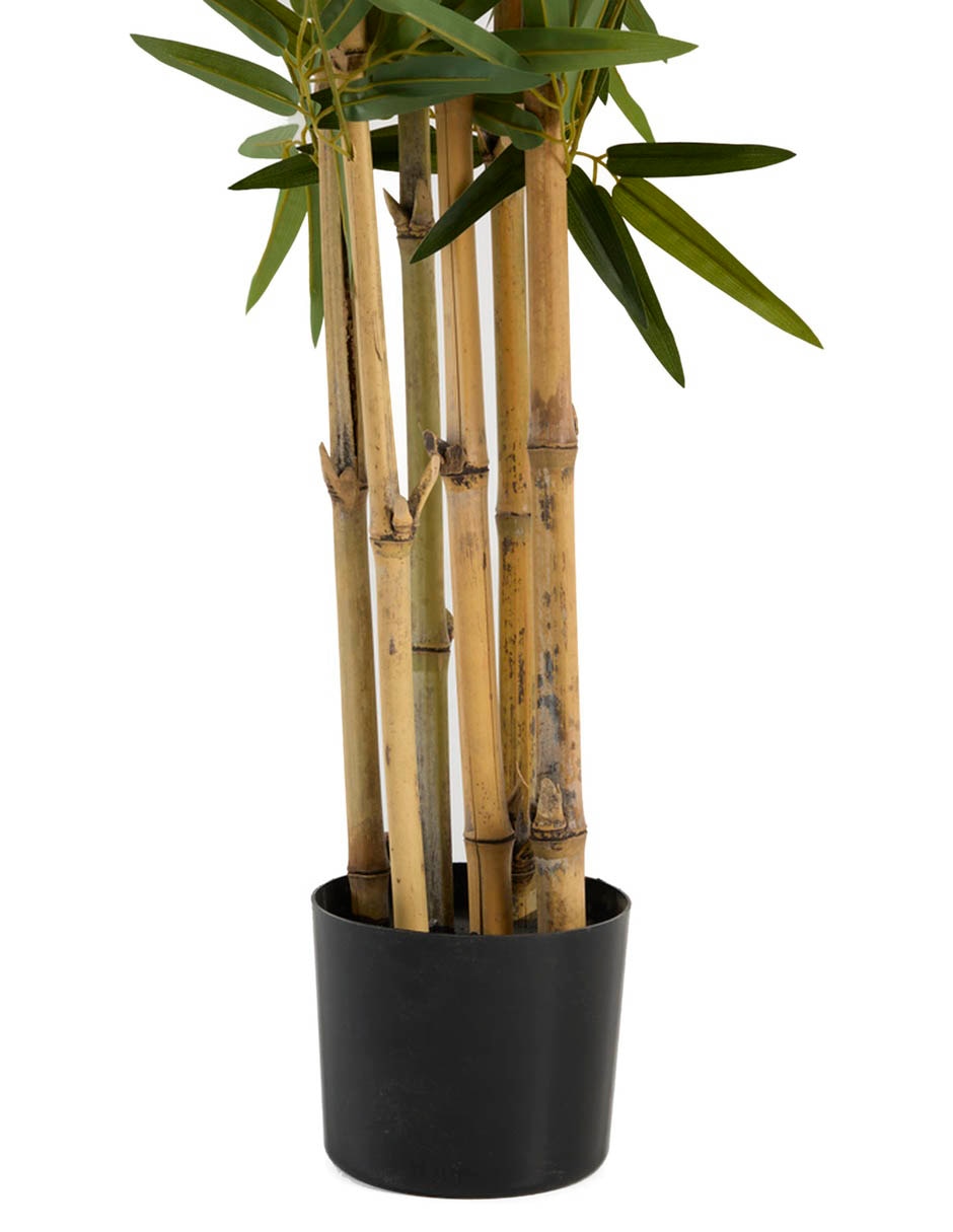 Bambú 150 cm con maceta