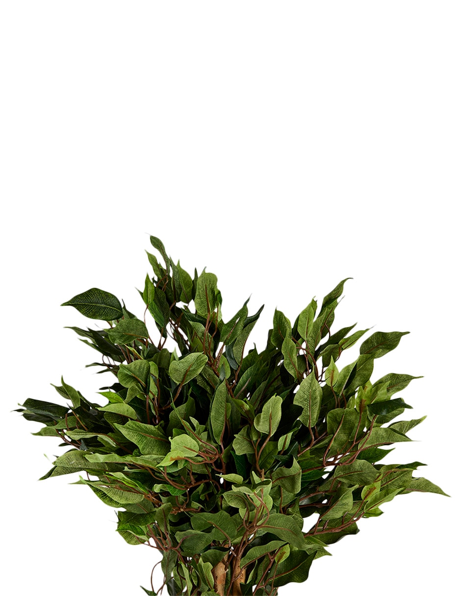 ÁRBOL FICUS, 1.2 M, VERDE ÁRBOL FICUS, 1.2 M, VERDE