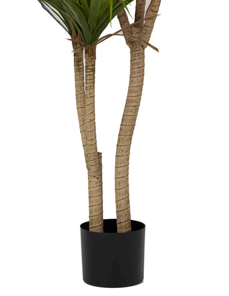 ÁRBOL DRACENA, 1.5 M, VERDE CLARO ÁRBOL DRACENA, 1.5 M, VERDE CLARO