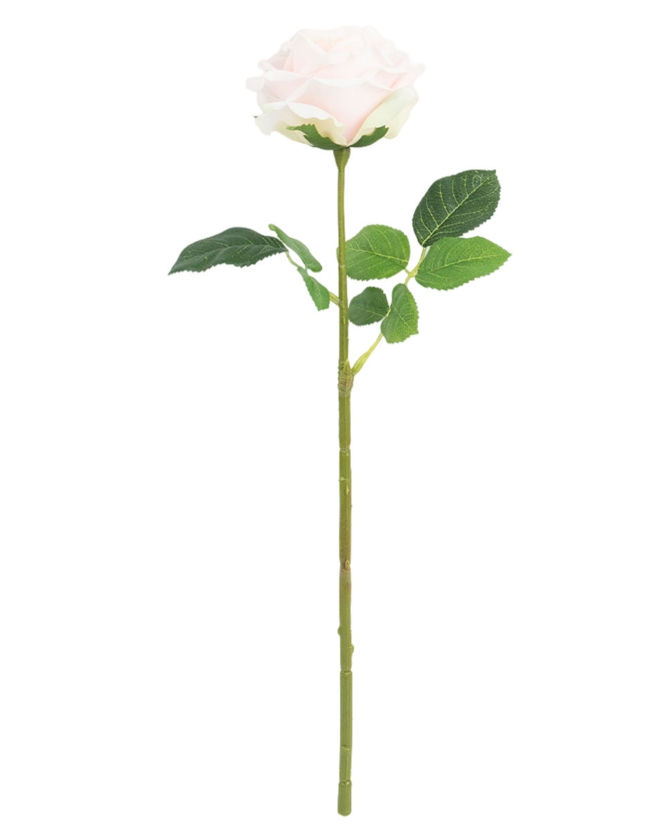 Rosa claro 3