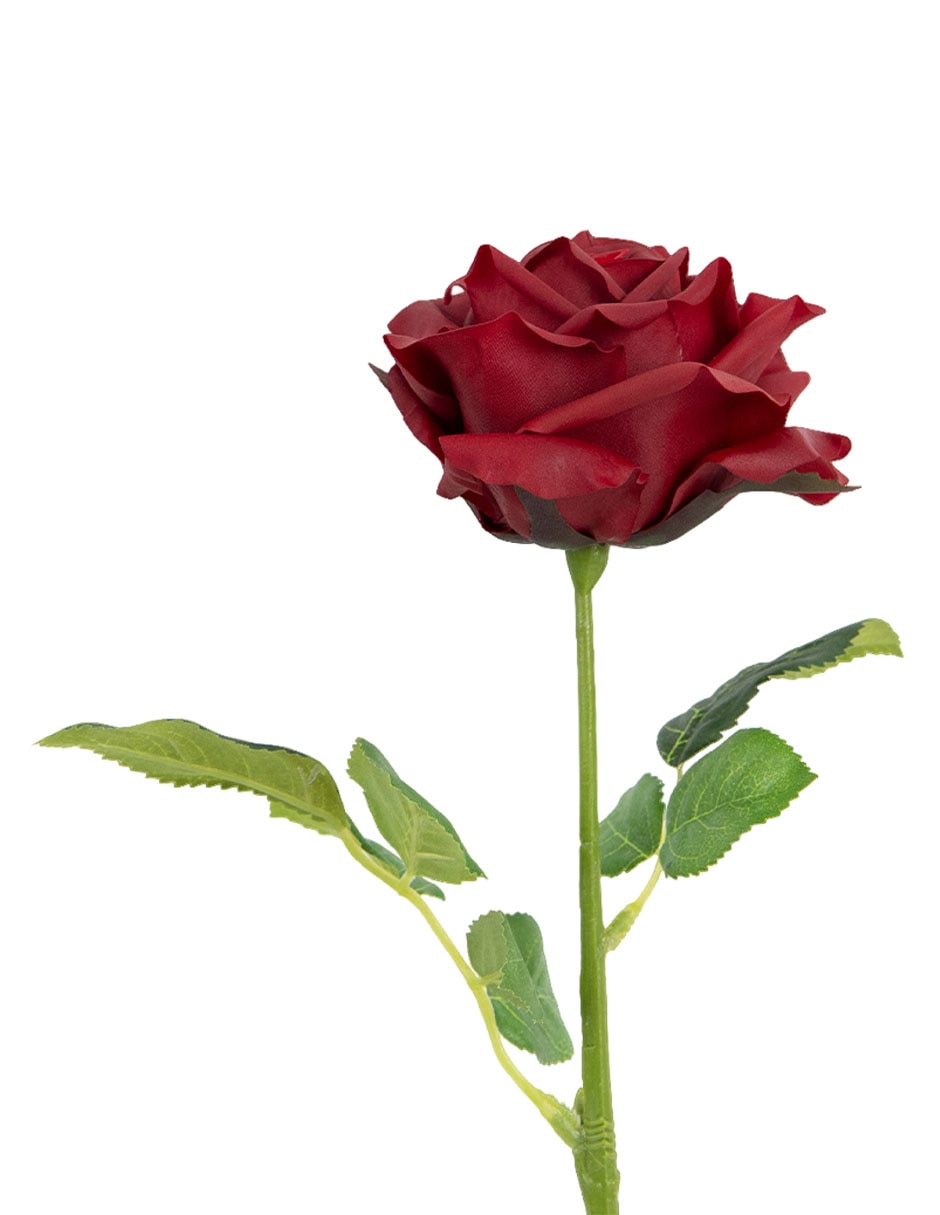 Flor de rosa 3