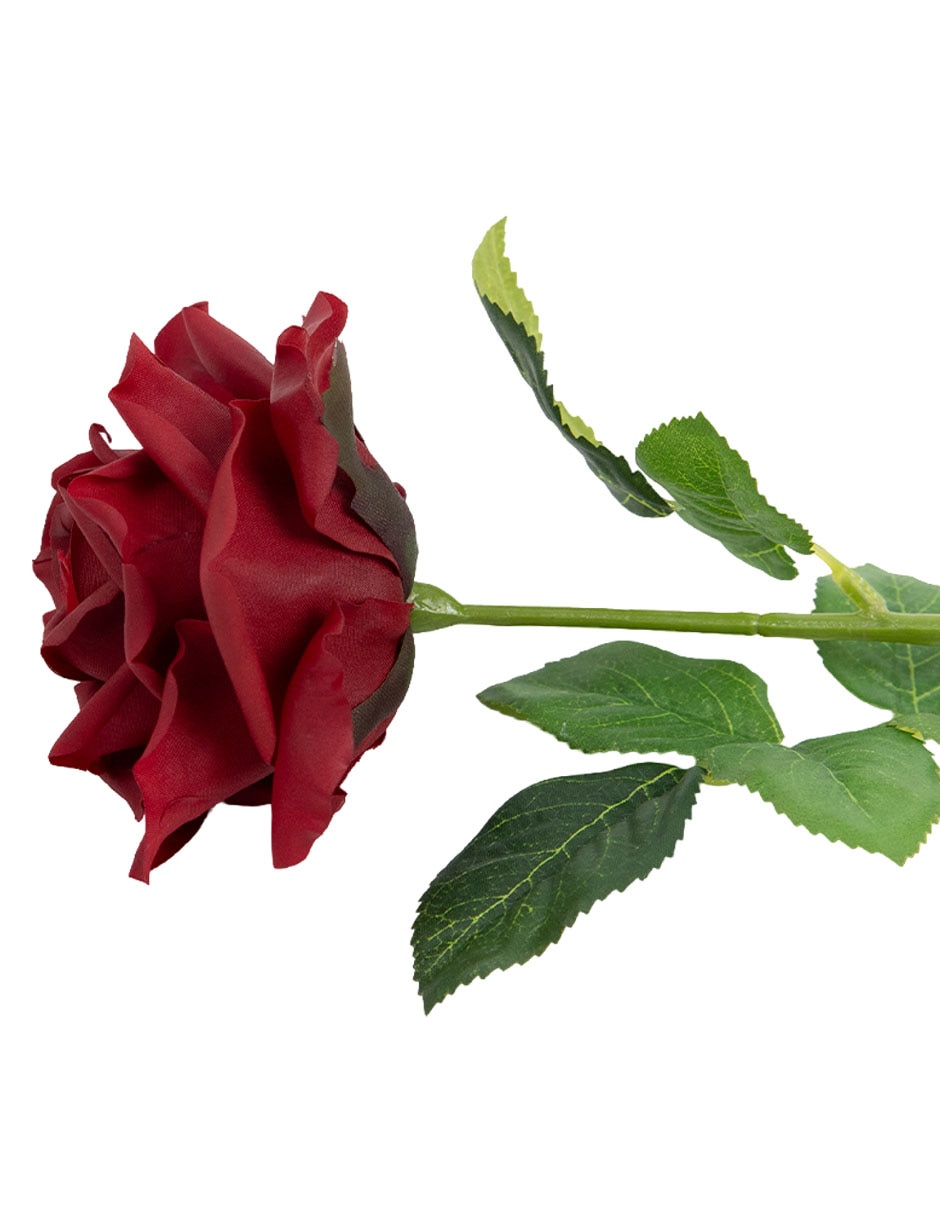 Flor de rosa 4