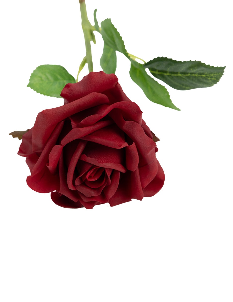 Flor de rosa 5