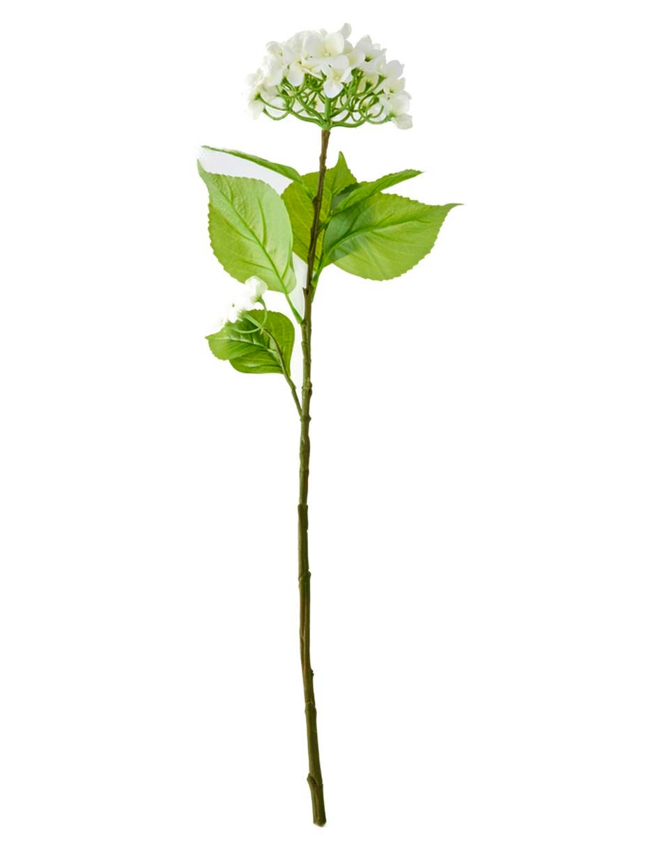 Flor de hortensia