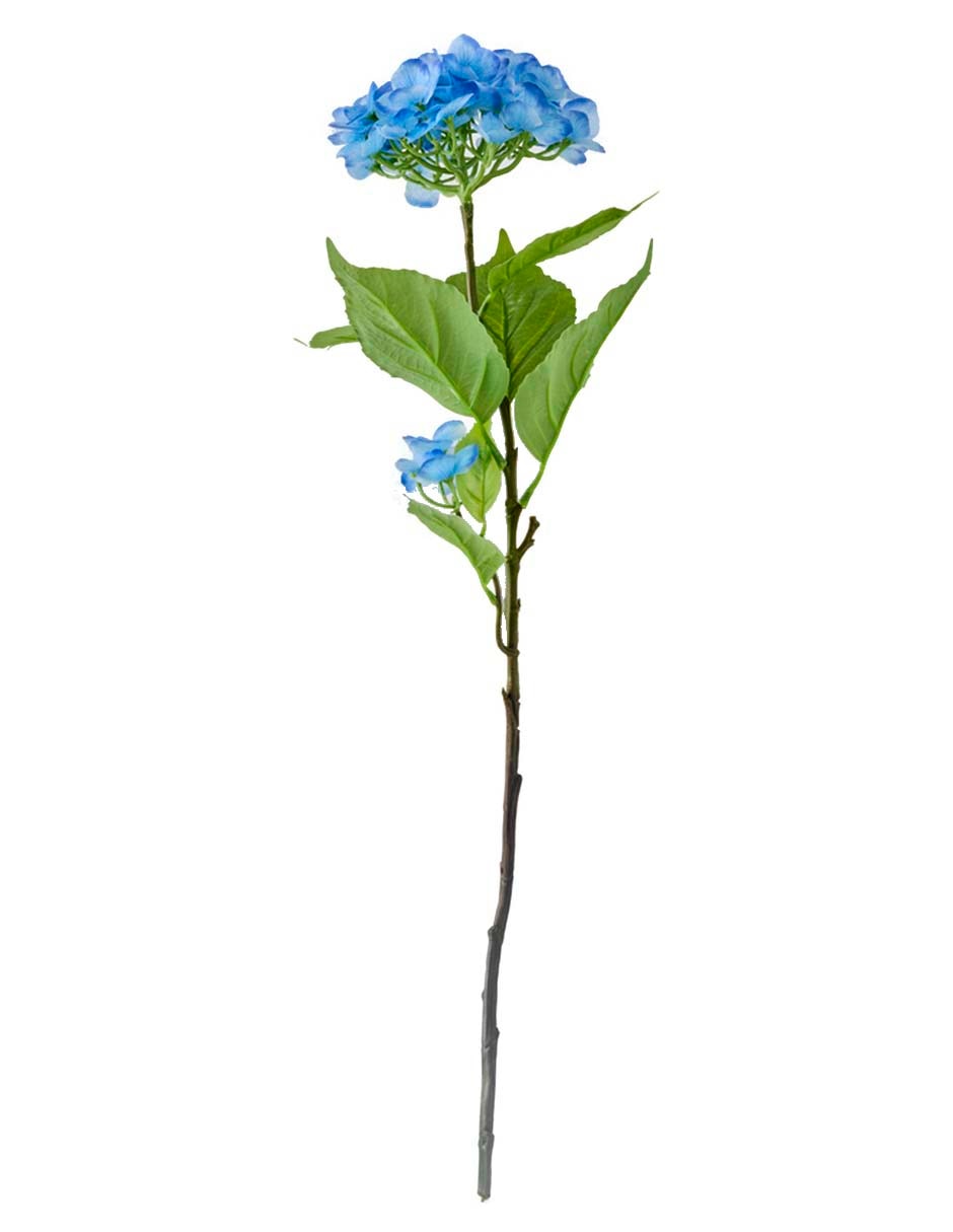 Ramo de hortensia