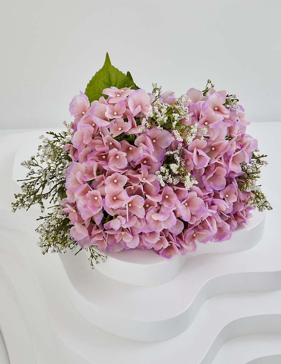 Hortensia