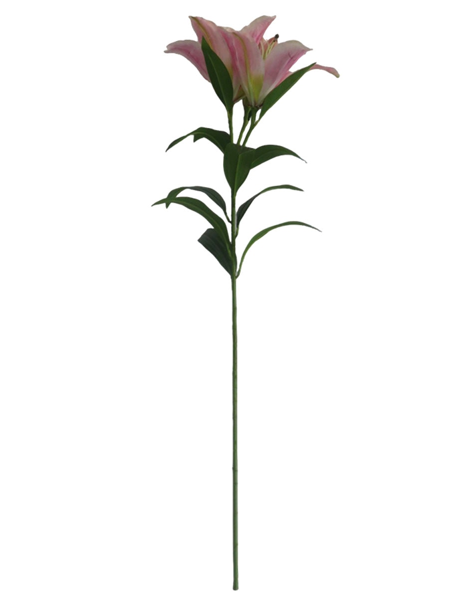 Flor de lily