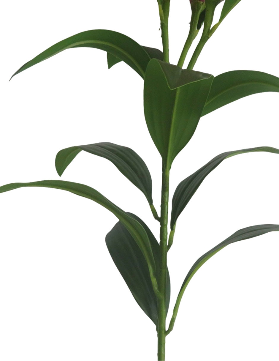Flor de lily 4