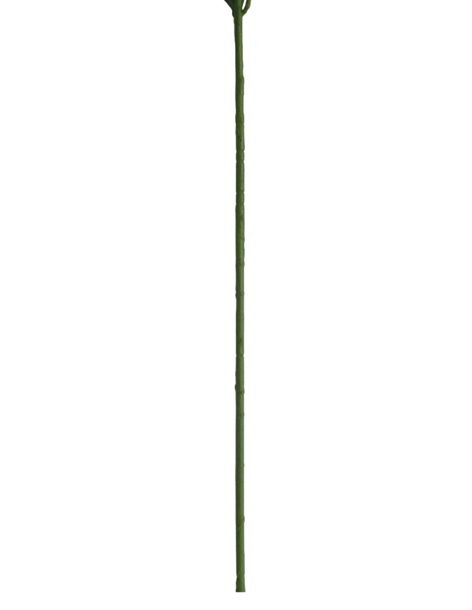 Flor de lily 5