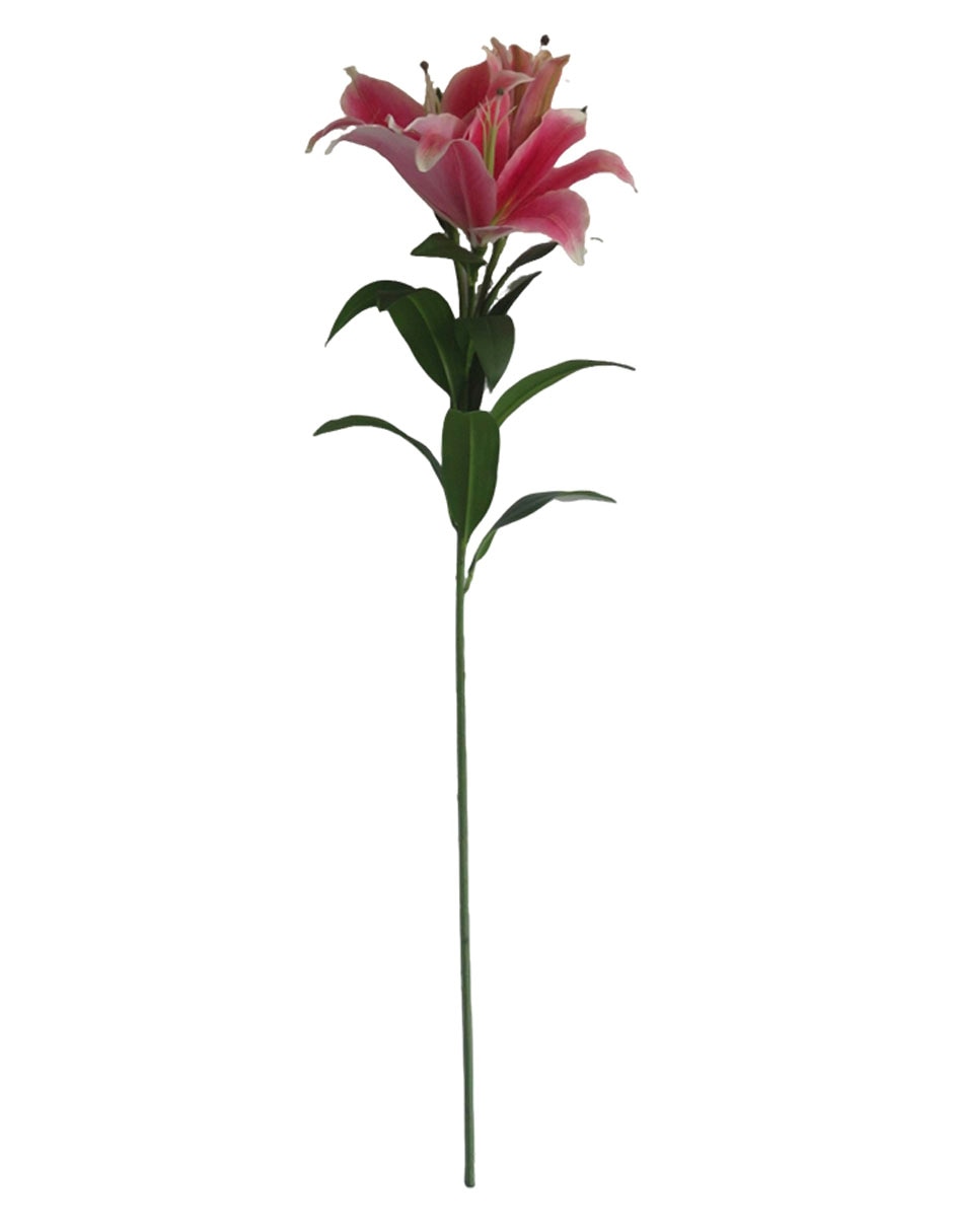 Flor de lily