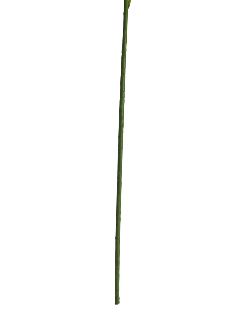 Flor de lily 5