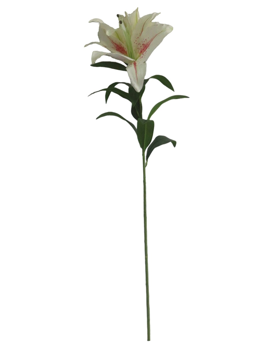 Flor de lily