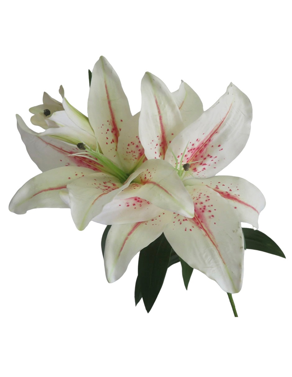 Flor de lily 2