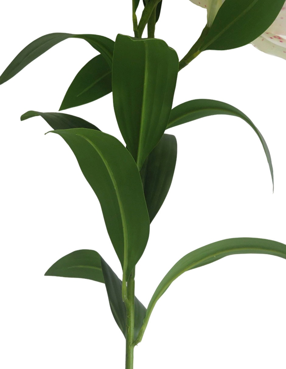 Flor de lily 4