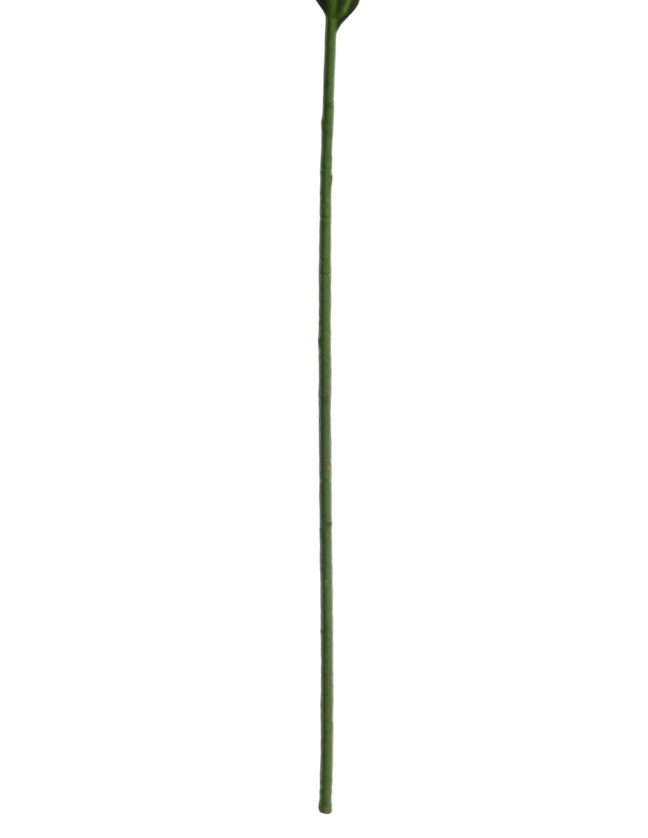 Flor de lily 5