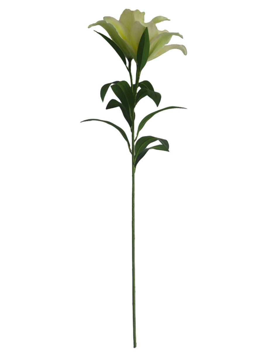 Flor de lily