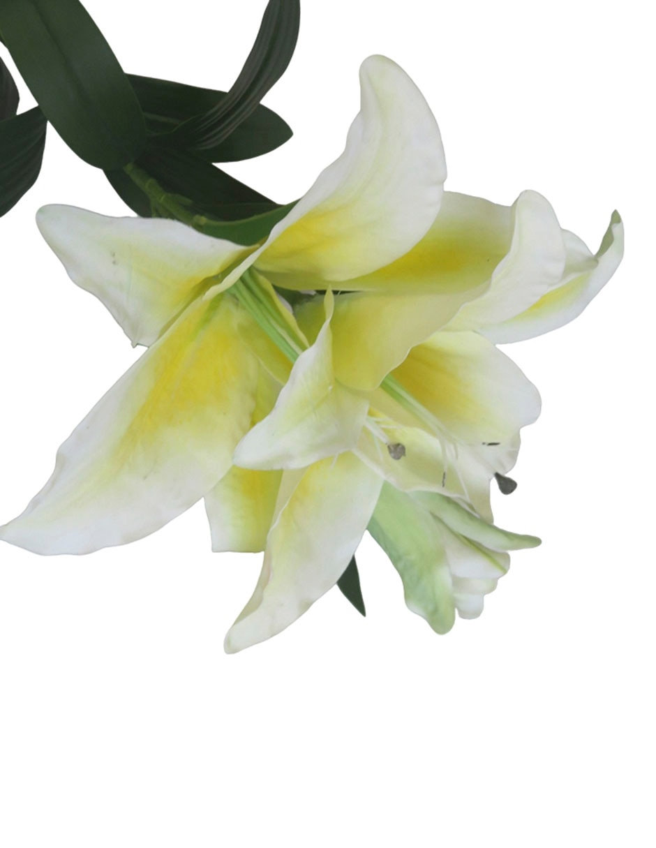 Flor de lily 2