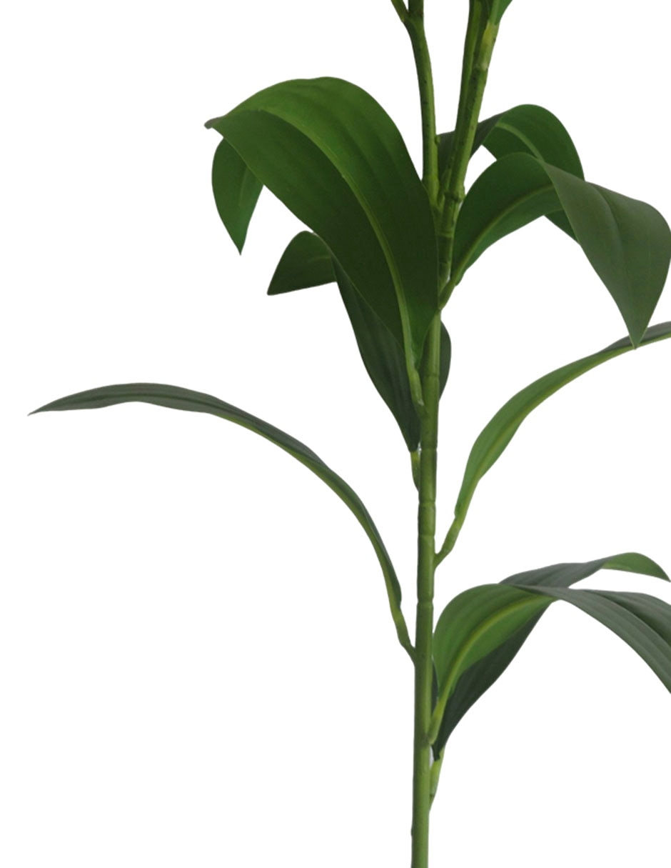 Flor de lily 4