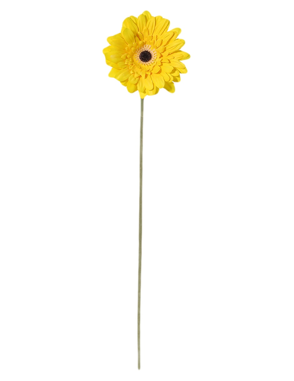 Flor de gerbera